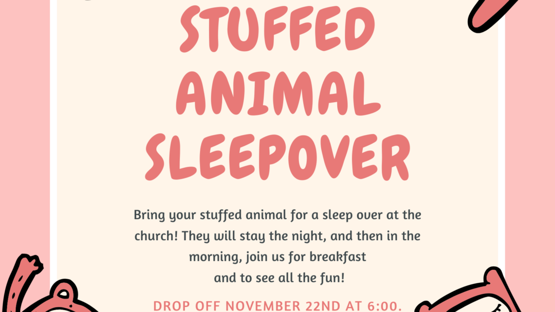 Stuffed Animal Sleepover – November 22, 2024