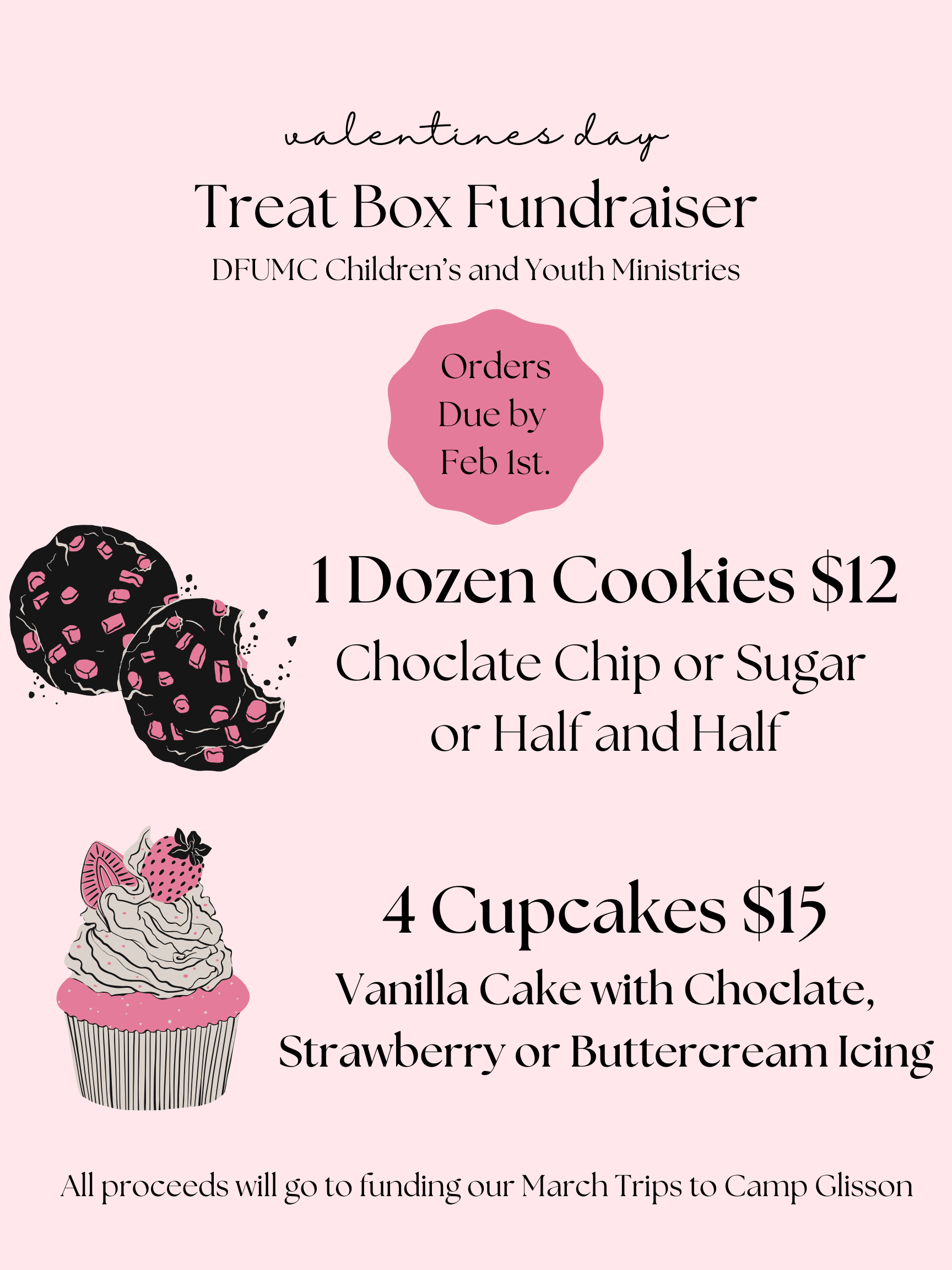 Valentines Day Treat Box Fundraiser
